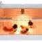Family use chicken brooder for sale,poultry brooder made in china