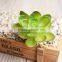 85 Different kinds Mixed Artificial succulent plants DIY Spring Collection