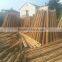 WY-211 Natural dryness for 12% straight garden tonkin bamboo poles bamboo canes bamboo stakes for sale