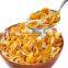 Most popular creative hotsale fried corn flake machine