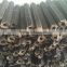 Top quality Biomass charcoal briquette machine plant