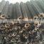 Hot popular Wood Briquette Stick Extruder Machine Sawdust Charcoal Stick Machine