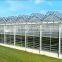 Galvanized Steel Pipes Greenhouse Covered BY Tempered Glass For Agriculture /Commercial
