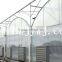 Sunlight greenhouses