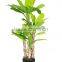 CHY030945 Real touch leaves banana tree/high initation 8ft banana tree