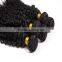 Virgin Hair Wholesale Suppliers 8-30" Mongolian Kinky Curly Hair