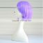 Cheap Factory Price Heat Resistant Synthetic Hair Long Lady Cosplay Wig Purple Wig