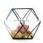 geometric terrarium geometric glass terrarium wholesale