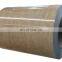 Colour Coated Galvanized Steel Coil GP coil PPGI coils made in china ppgi coil