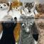 No stuffing funny and interactive pet toy squeaky dog plush toys 2020