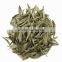 China Famouse white tea Fuding white tea, bai hao yin zhen, Fujian white silver needle