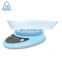 New Custom LCD 1g5Kg Big Weighing ABS Plastic Bowl Digital Kitchen Scale