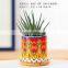 Nordic simple mandala decorative pattern cylindrical meaty ceramic small pot