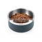 Custom Logo Stainless Steel Cat Feeding Container Double Wall Puppy Dog Bowl
