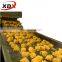 Price of industrial frying falafel balls machine
