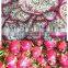 Natural Dried Dragon Fruit For International Market