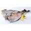 Good price frozen alaska pollack fish head off