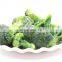 Sinocharm BRC-A approved IQF Broccoli frozen Broccoli