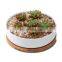 New Design Plant Pot Indoor Drawing Big 1 Piece Succulent 14 Inch Ribbed Large Low Bowl Planter Ceramic