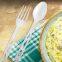 Disposable Compostable CPLA Knife / Fork /Spoon100% Biodegradable Tableware And Set (1000/Case)