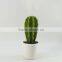 2015 High quality Potted artificial cactus plants