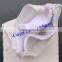 Ananbaby Ecological Bamboo Diaper Inserts Wholesale China