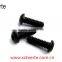 china cheap all kinds of stainless steel machine screw