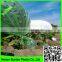 Supply 2016 LDPE greenhouse film for table grape cover, woven or blow molding greenhouse film,anti hail/rain protection cover