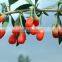 goji berry krem-best selling products in dubai