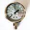 Vibration-proof Pressure Gauge/Stainless Steel Pressure Gauge/