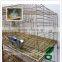 plastic rabbit hutch indoor rabbit cages cheap prices with good quality
