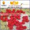 YIWU wholesale cheaper 2mm mini crafts diy pompoms