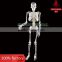 85cm human skeleton model with spinal nerces
