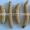 Dried Ginseng Root for sale