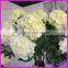 artificial hydrangea wedding stage decoration