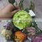 real touch good looking wholesale artificial English rose flower