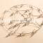 Clips Stainless Steel Clothes Hanger and Stainless steel Sock Hanger with 20 clips /stainless steel clothes rack