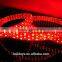 Xmas Color Changing LED Decoration Neon Rope Light
