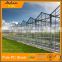 Agriculture Greenhouse Commercial Greenhouses Hobby Greenhouses uv coated polycarbonate panels