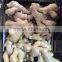 Air Dry Ginger/dried Ginger Pieces for Sale