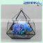 Natural fresh cut flower preservative glass box preserved rose
