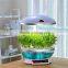 watering pot
