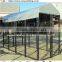 professional customized galvanized cheap dog kennels