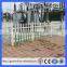 Cheap Decorative Flower Garden Fencing/plastic Garden Fence(guangzhou Factory)