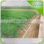 Commercial greenhouse Drip irrigation belt