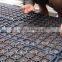 50 Cell, 242 Cell Seedlings Trays Wholesale