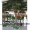 garden/landscaping/home decorative indoor palm trees