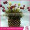 Hot sale china manufacturer home decoration desk potted flowers for wedding hanging home wall decoration