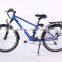 26inch Steel Frame Lithium Battery 36V 250W Electric Bicycle Cheap Electric Bike for Sale