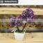 New design potted plant for house design new product on China market